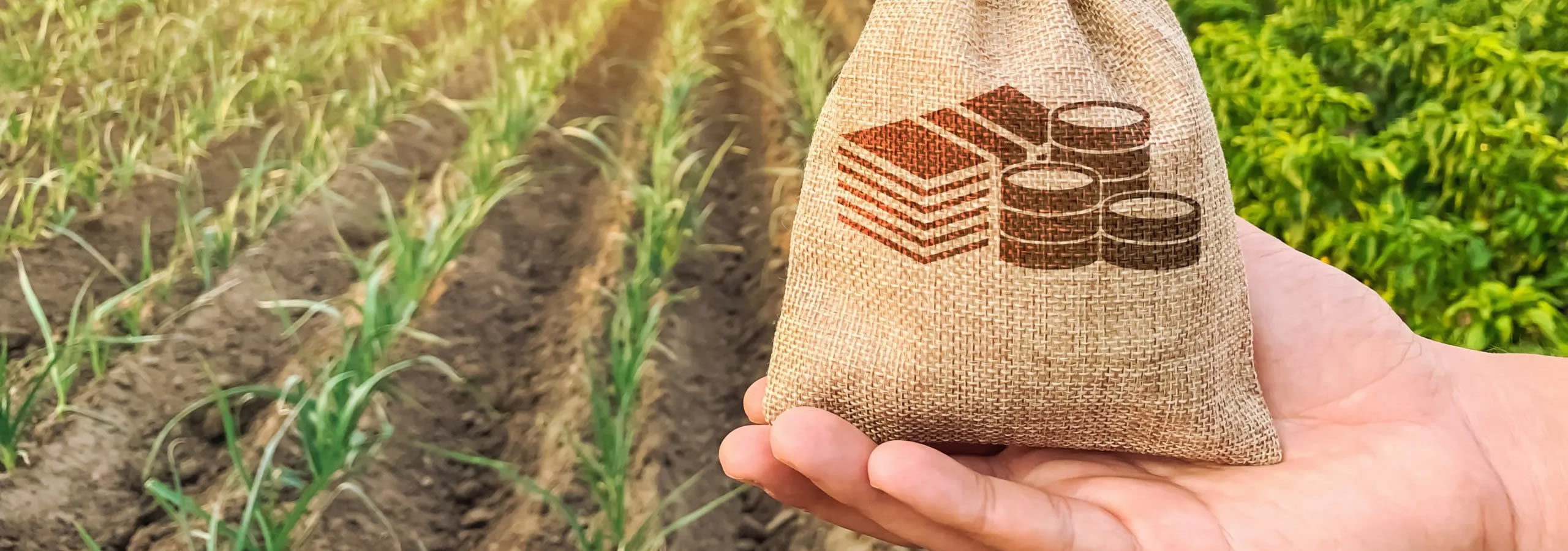 Produtor Rural (Incra - ITR - Car - Cartão do Produtor)